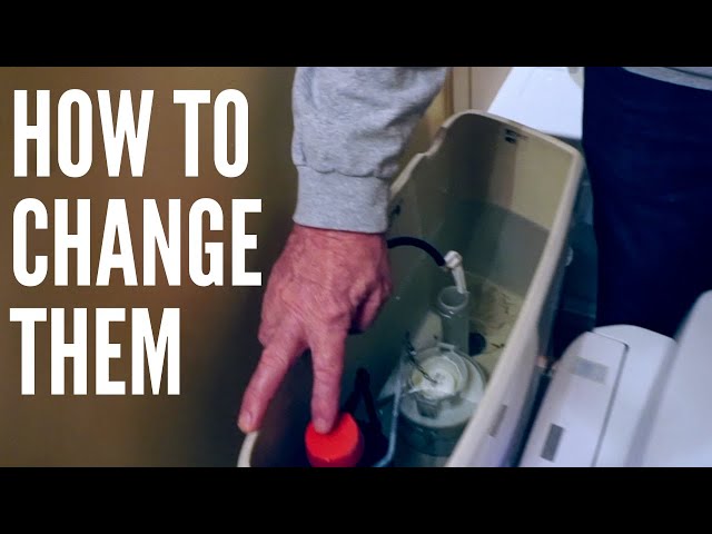 The Parts of Toilet Explained by a Plumber | Plus, how to repair a Toto toilet fill valve