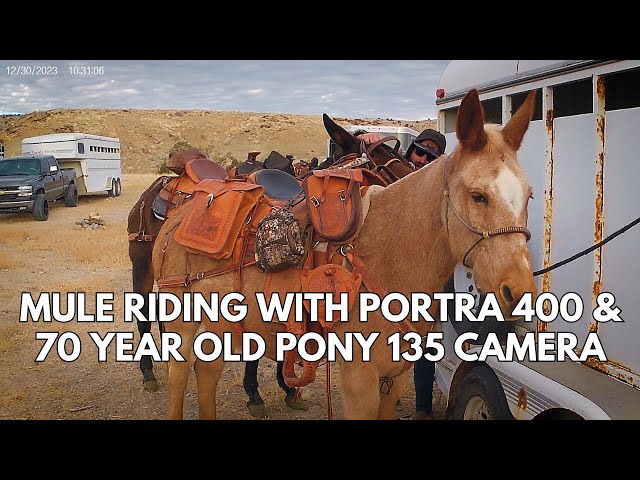 Pony 135 Camera: Mule Riding With Portra 400 & 70 year camera