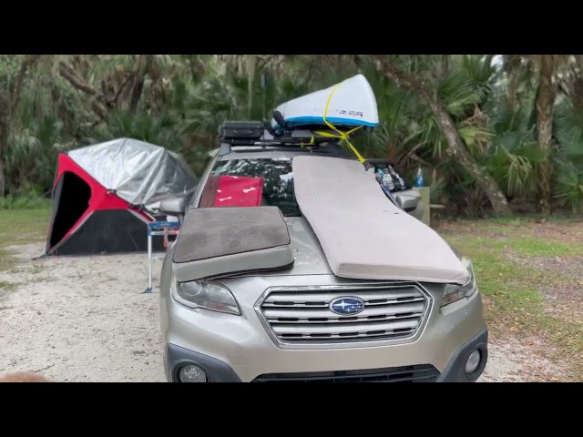 Kissimmee Prairie State Park FL., RTT camp with my dog #camping  #tentlife #carcamping #roadtrip