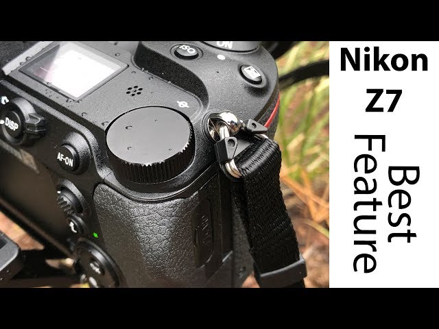 Surprisingly Effective Nikon Z7 Physical Feature