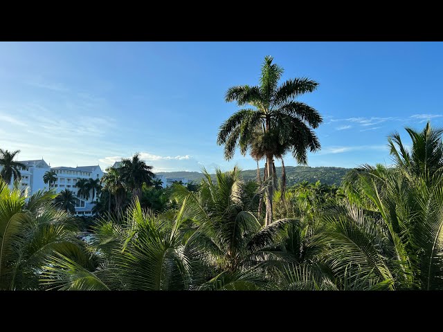 Should you go to Jamaica? 🤔 Vlog Part 1