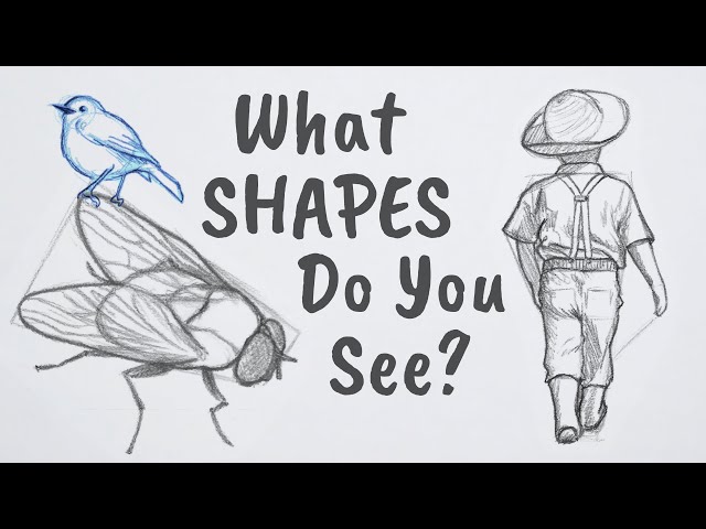 How to Draw ANYTHING Using Simple Shapes