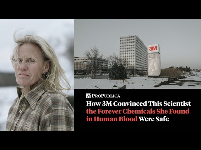 How 3M Convinced Me the Forever Chemicals I Found in Human Blood Were Safe