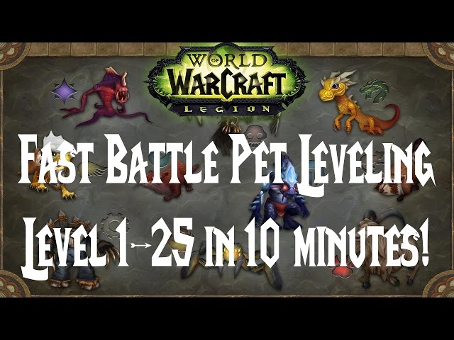 WoW: Easy Battle Pet Leveling - Level 1 to 25 in 10 Minutes