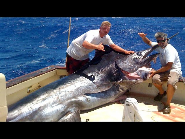 Amazing Fastest Giant Bluefin Tuna and Swordfish Fishing skill - Most Satisfying Sea Fishing Videos