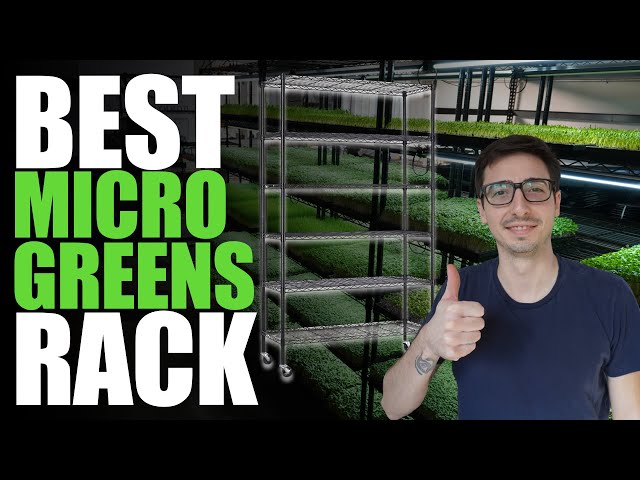 Best Microgreen Rack (Easy & Efficient)