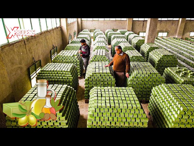 How Millions of Bathing Soaps Are Made From OLIVE OIL | 50,000 Soaps Everyday!