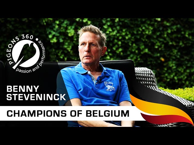 Champions of Belgium - Benny STEVENINCK - Top Pigeon Fancier