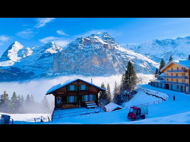 Winter In Switzerland🇨🇭Why Switzerland is so beautiful ! Murren _ Swiss Valley