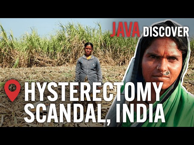 Sugar's Dark Secrets: India's Sugar Plantation Workers Forced into Surgery | Documentary