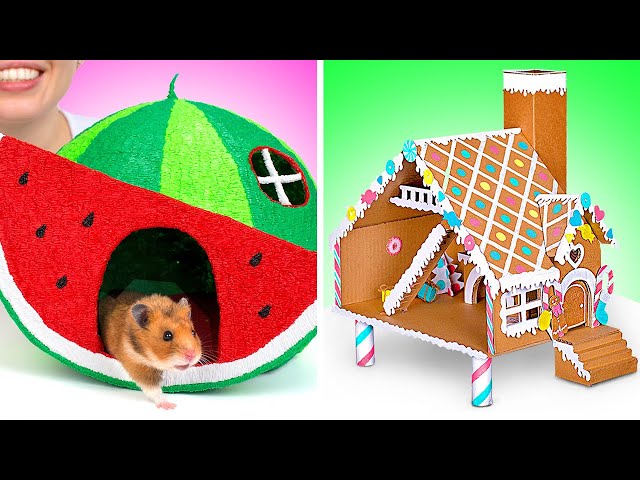 Fun DIY Hamster Crafts || Cool Watermelon And Gingerbread House