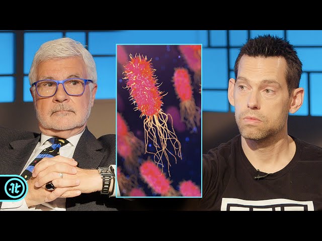 Are These Healthy Foods Actually Poisoning You? | Dr. Steven Gundry
