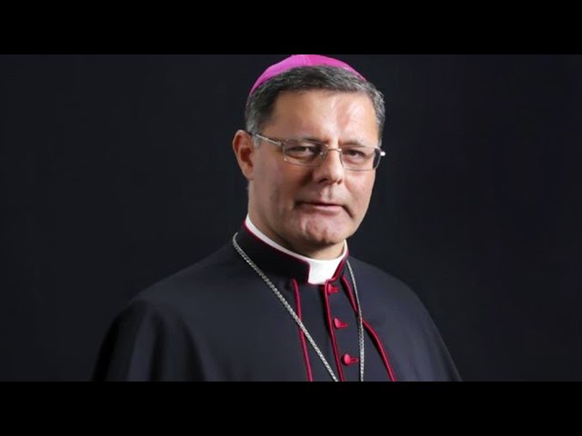 Cardinal Profiles  Paulo Cezar Costa.  - The Next Pope Series #3