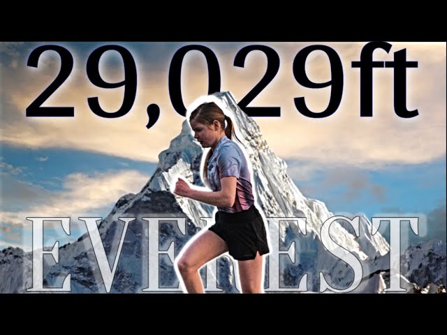 I Conquered Mount Everest || a physical and mental battle