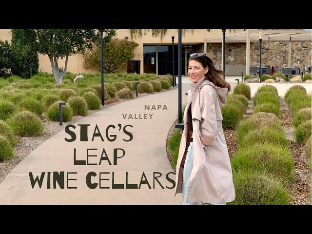 Best Wine Tasting in Napa⎜Stag's Leap Wine Cellars, Napa Valley