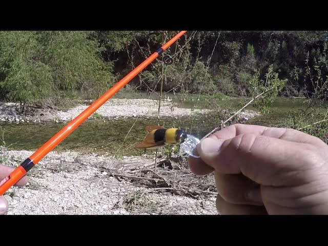 REBEL Bumblebee What a Cool Little Lure! Creek Fishing. Best lure for fish?