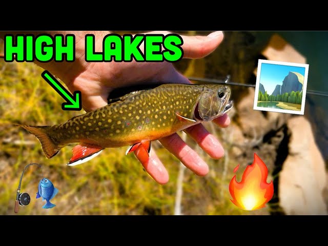 EPIC Trout Fishing PRISTINE Mountain Lakes!! (Oregon Wilderness)