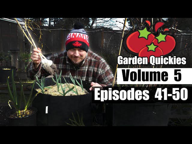 Garden Quickies Volume 5 - Episodes 41 to 50