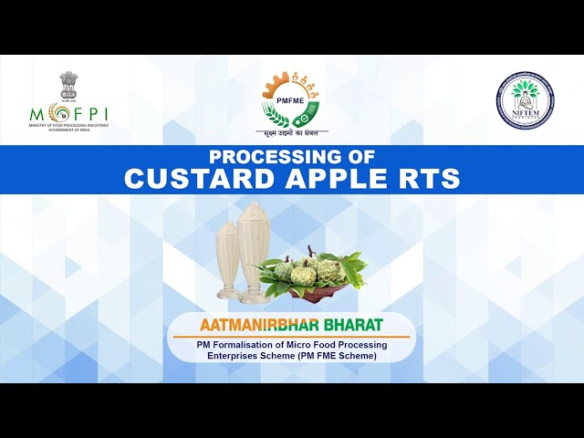 Demonstration Video on Custard Apple RTS  (under PMFME Scheme) - Hindi