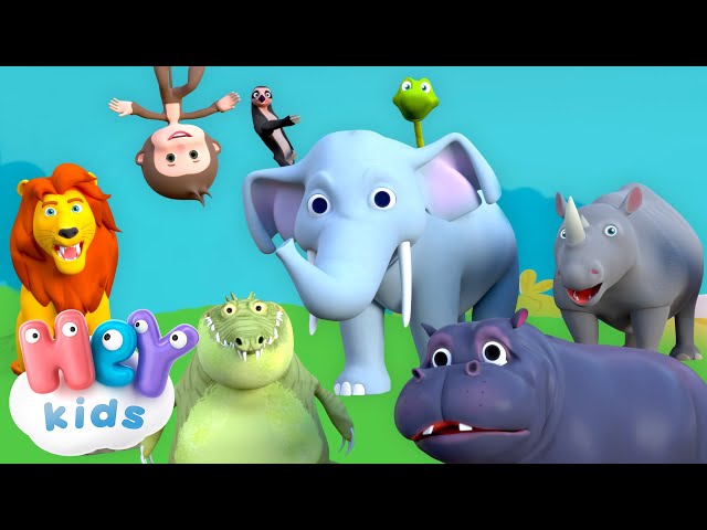 Off to the jungle! 🦁🐍 Discover animals | Animal Song for Kids | HeyKids Nursery Rhymes
