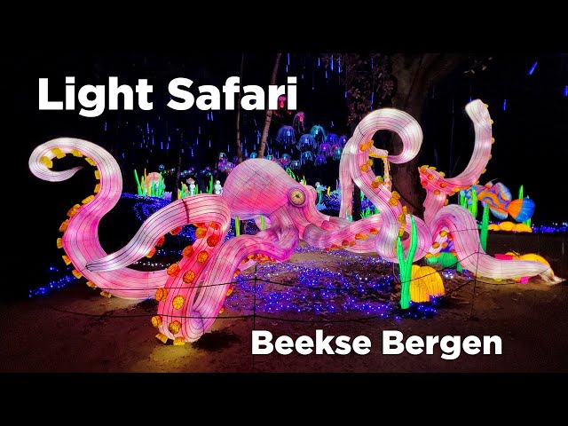 Light Safari in Beekse Bergen: Light Festival in the Netherlands