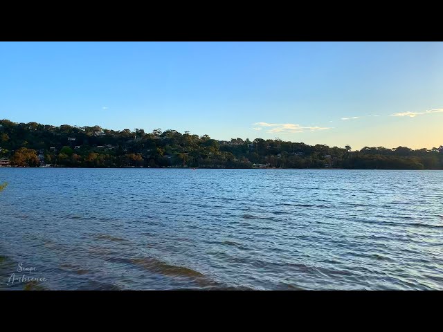 Tranquil Lake Ripples: Natural Ambiance for Serenity, Sleep, Relaxation, Study | Working Background