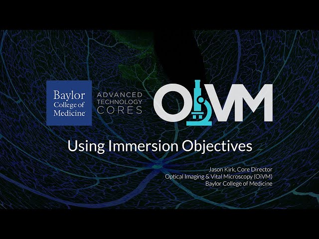 Using Immersion Objectives