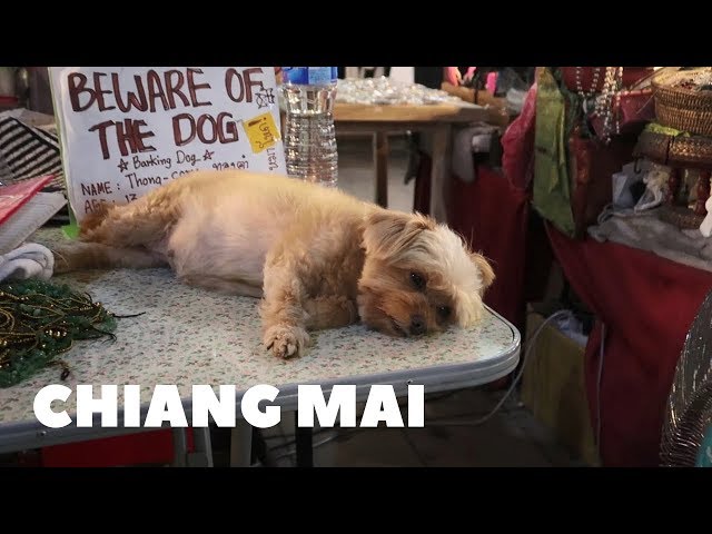 Thailand Vlog 3 travel day to Chiang Mai