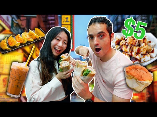The BEST Cheap Eats in NEW YORK CITY ($5 Chinatown Food Guide)