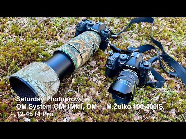 Saturday Photoprowl: OM System OM-1Mkii, OM-1, M.Zuiko 100-400IS, 12-45 f4 Pro