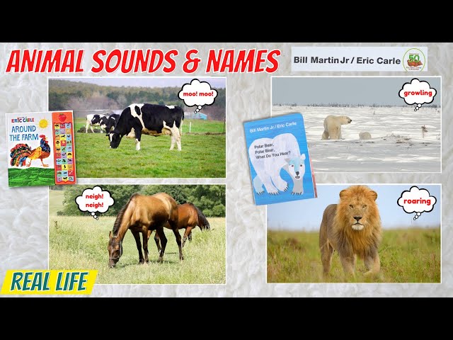 Animals Names and Sounds | Real Life Learning Videos for Toddlers and Preschool | Eric Carle Books