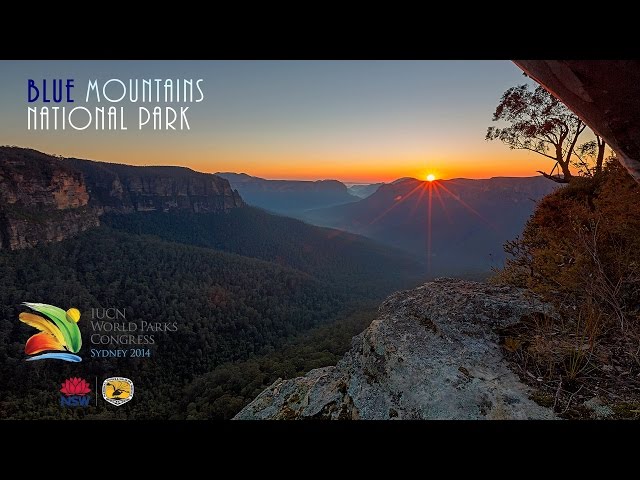 Blue Mountains National Park in 4K