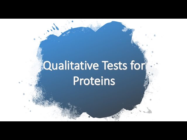 General Tests for Amino Acids (Proteins) | Discussion