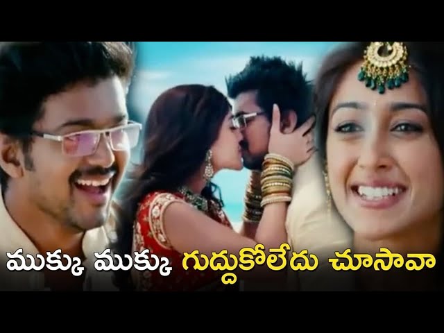 Vijay Thalapathy And Ileana D'Cruz Blockbuster Movie Romantic Kiss Scene | Snehitudu Movie Scenes