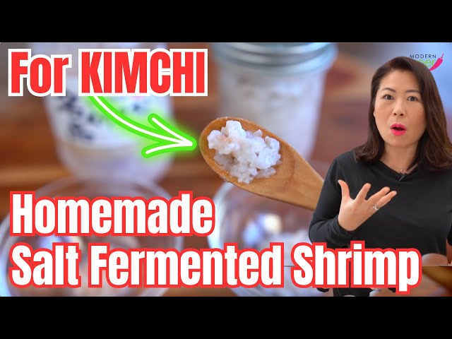For Kimchi: Homemade Salt Fermented Shrimp Recipe [Saewoojeot Recipe] 새우젓 레시피