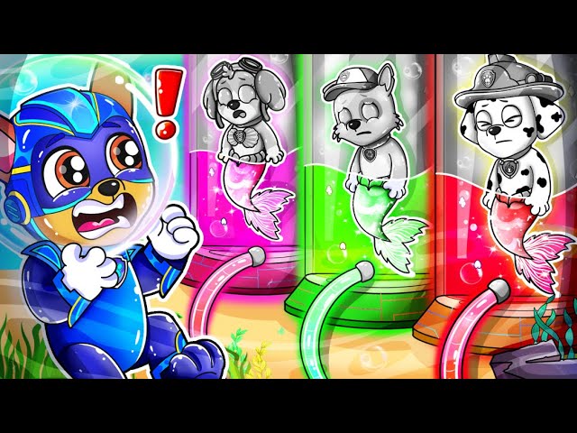 Brewing Cute Baby Mermaid But COLOR Are MISSING? - Paw Patrol Ultimate Rescue | Rainbow Friends 3