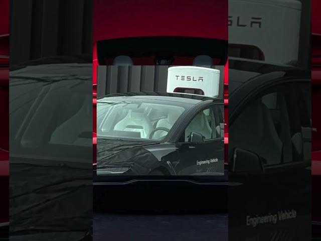 Tesla Model 3 Performance Sitze bestätigt