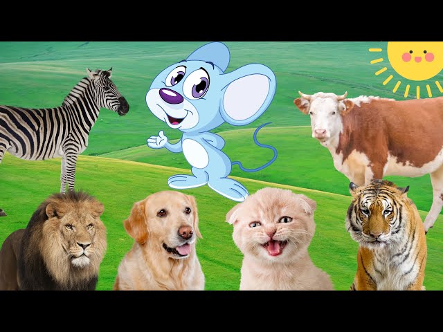 Learn the sounds of farm animals, domestic animals, wild animals - Cow, dog, cat, rat, tiger, horse