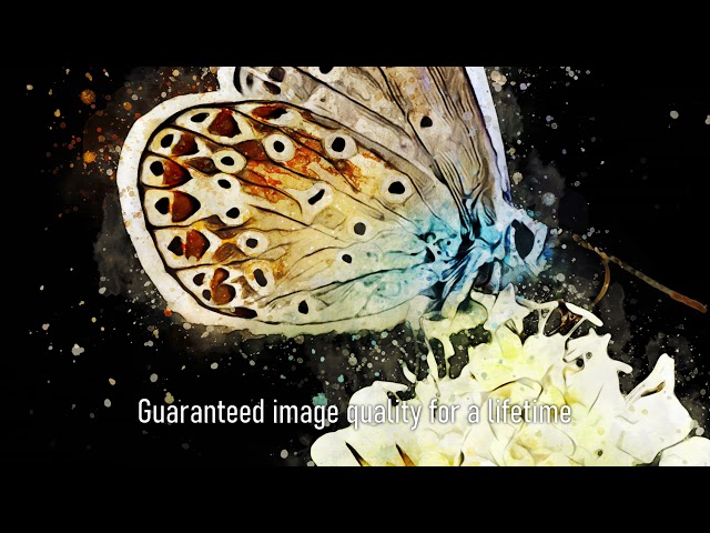 Premium Handmade Art Print "Small Blue Butterfly in Watercolors" by Dreamframer Art