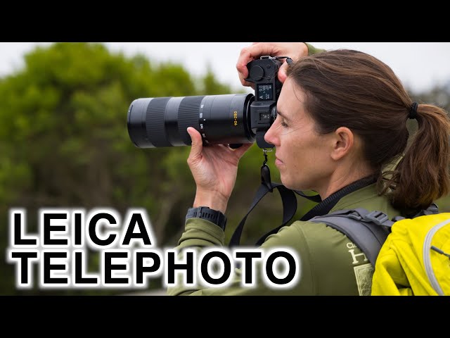 Unique, Fast Aperture, Great Range - Telephoto for SL SL2 SL2-S - Leica 90-280mm f/2.8-4 Lens Review