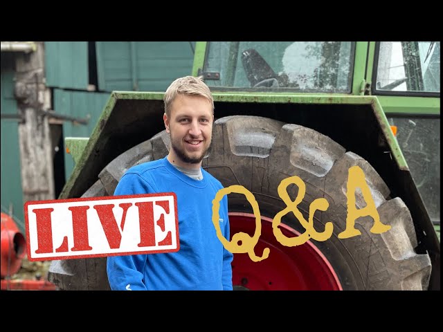 Live Q&A | Vlog Ersatz Stream