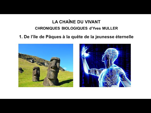 1. Biological Chronicles - From Easter Island to search of eternal youth