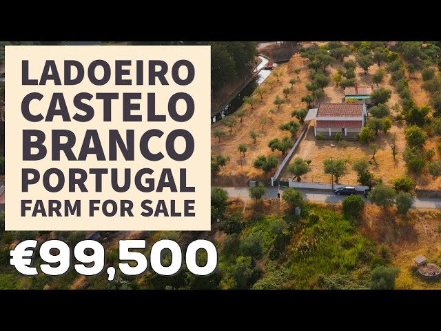 3 Bedroom Farm House For Sale | Ladoeiro, Central Portugal | VIRTUAL PROPERTY TOUR ☀