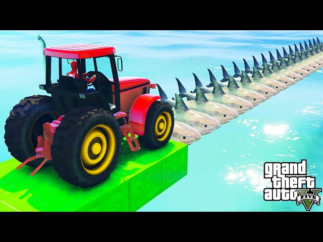 On colorful tractors he rides along a bridge with sharks GTA 5