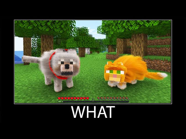 Minecraft wait what meme part 278 realistic minecraft Dog and Cat