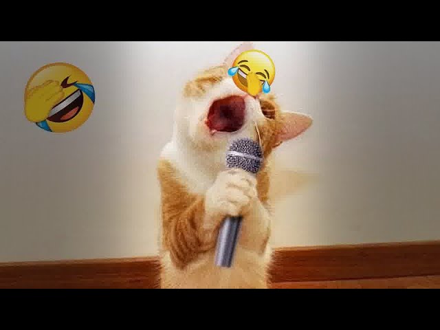 IMPOSSIBLE TRY NOT TO LAUGH 😂❤️ Funny And Cute Animal Videos 2024 😆🤣