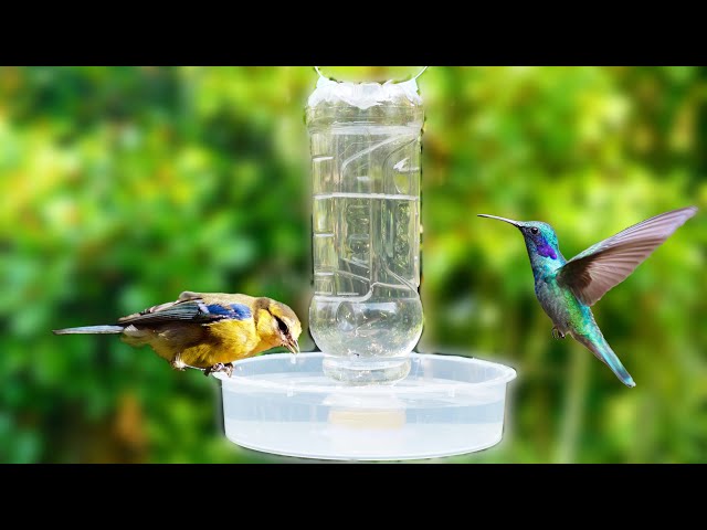 How To Make Automatic Bird Water Feeder Homemade | DIY