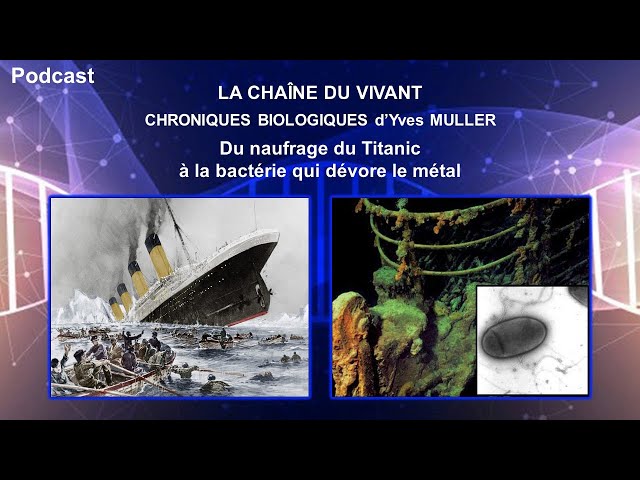 Podcast 11 - Du naufrage du Titanic à la bactérie qui dévore le métal