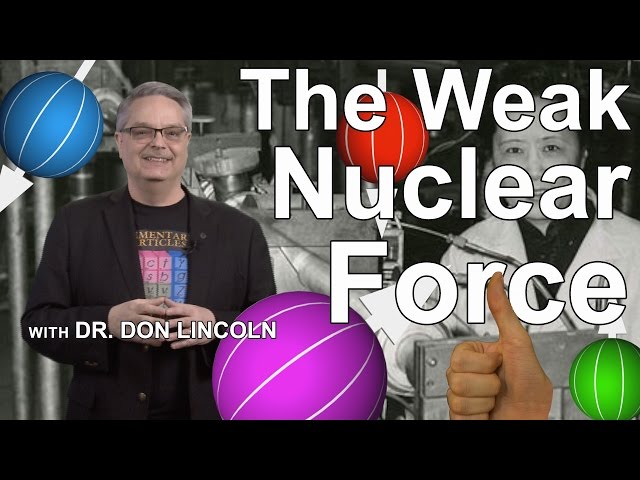 The Weak Nuclear Force: Through the looking glass