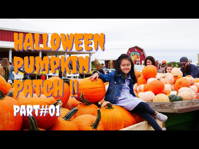 Where To Go For HALLOWEEN Pumpkin Patch Adventure || Part 1